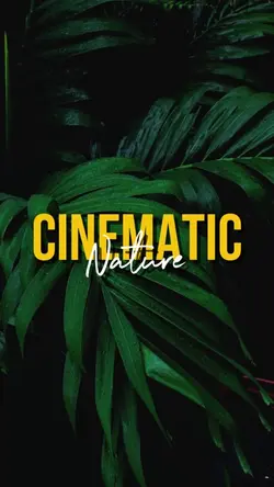 CINEMATIC NATURE