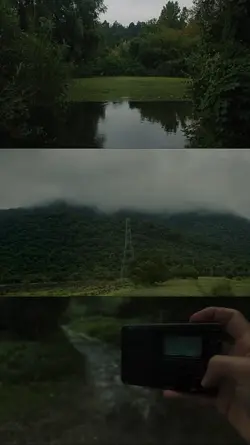 nature 3 grid videos