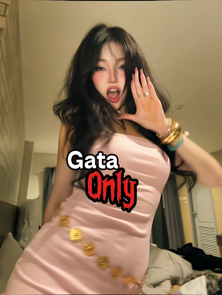 Gata Sadece Yavaşladı 