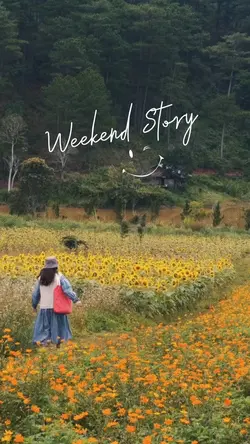 Weekend Story