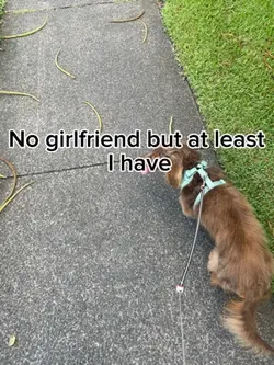 No girlfriend