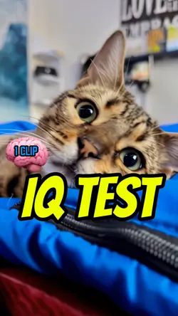 🚨IQ CHALLANGE🚨