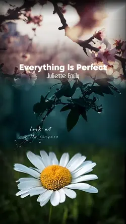 Everything Is perfec