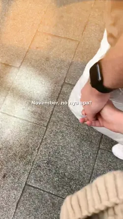 November no nya apa