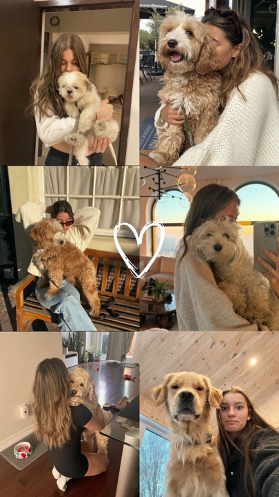 Chien