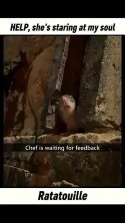 Ratatouille