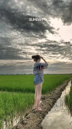 janji setia trending