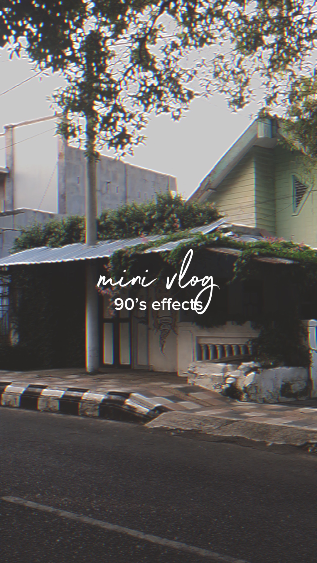 mini vlog