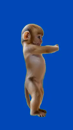 Mono bailando