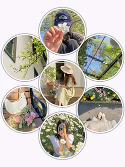 7Pic Frame Aesthetic