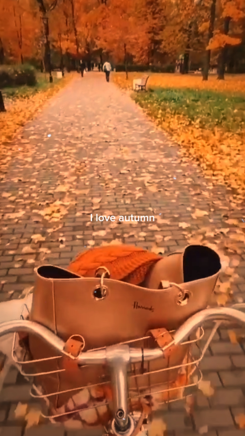 AUTUMN 2025