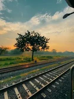 Pyari Didi |