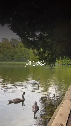 سبحان الله