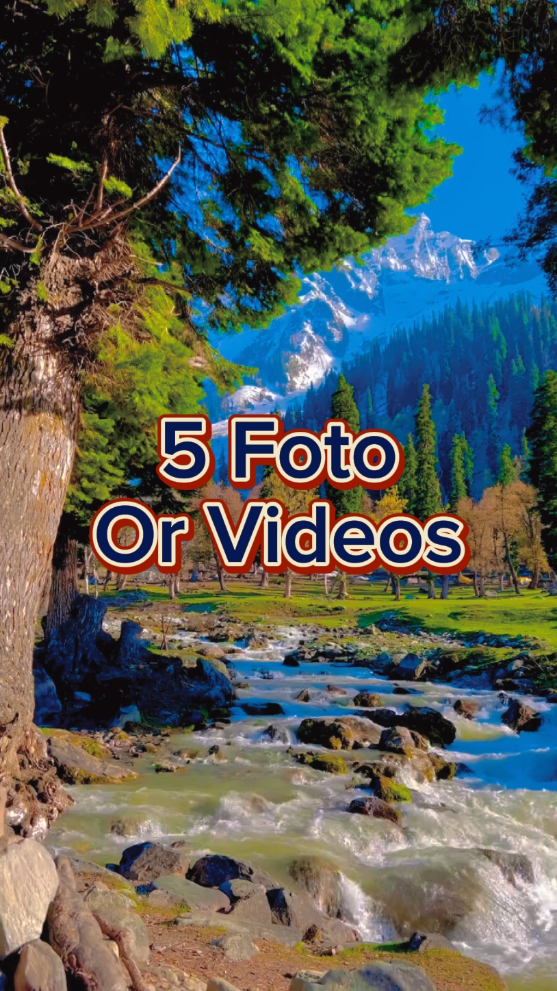 5 Diapositivas De Fotos