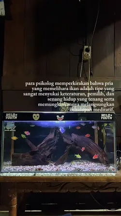 Aquascape