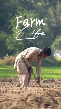 Farm Life!