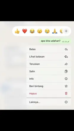 Apa kita udahan