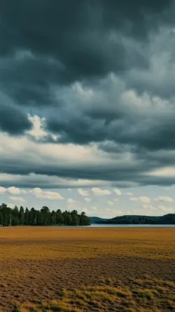 Benchi diselepak r..