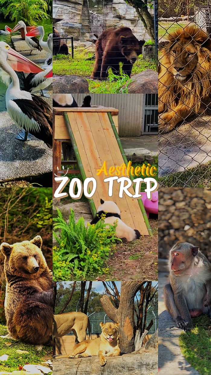 ZOO TRIP