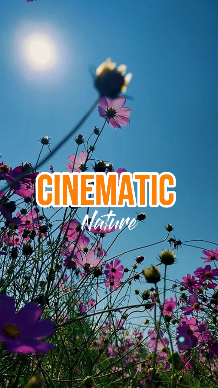 Naturaleza CINEMÁTICA 