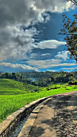 Hd4k