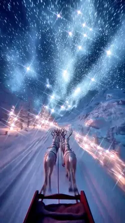 WONDERFUL CHRISTMAS