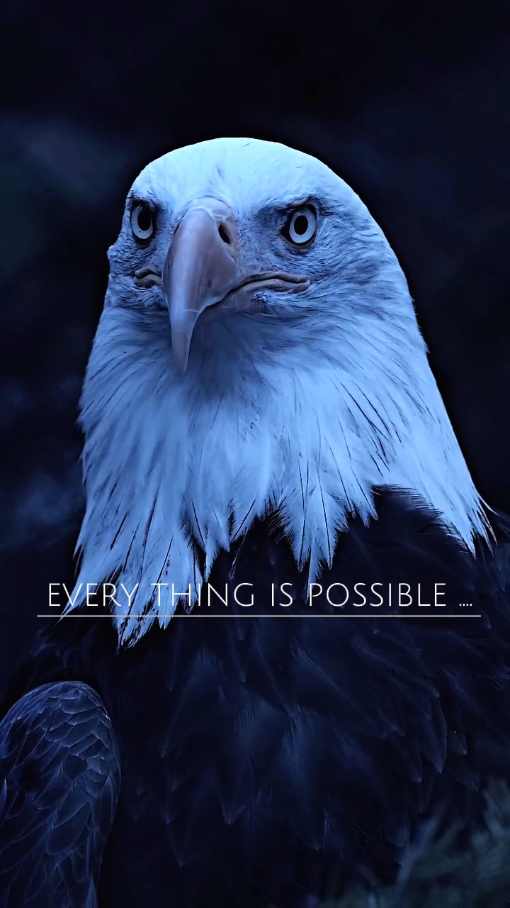 Acredite em si mesmo 