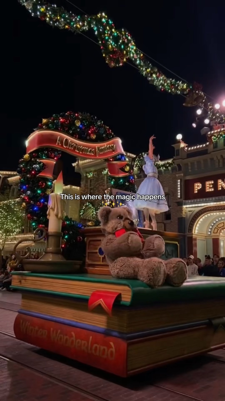Disneyland navideño