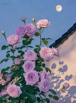 狐涂涂 wallpaper