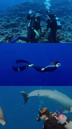 3 video snorkeling
