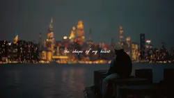 Shape of my Heart