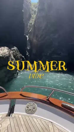 Summer vibe 