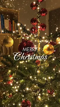 Merry Christmas
