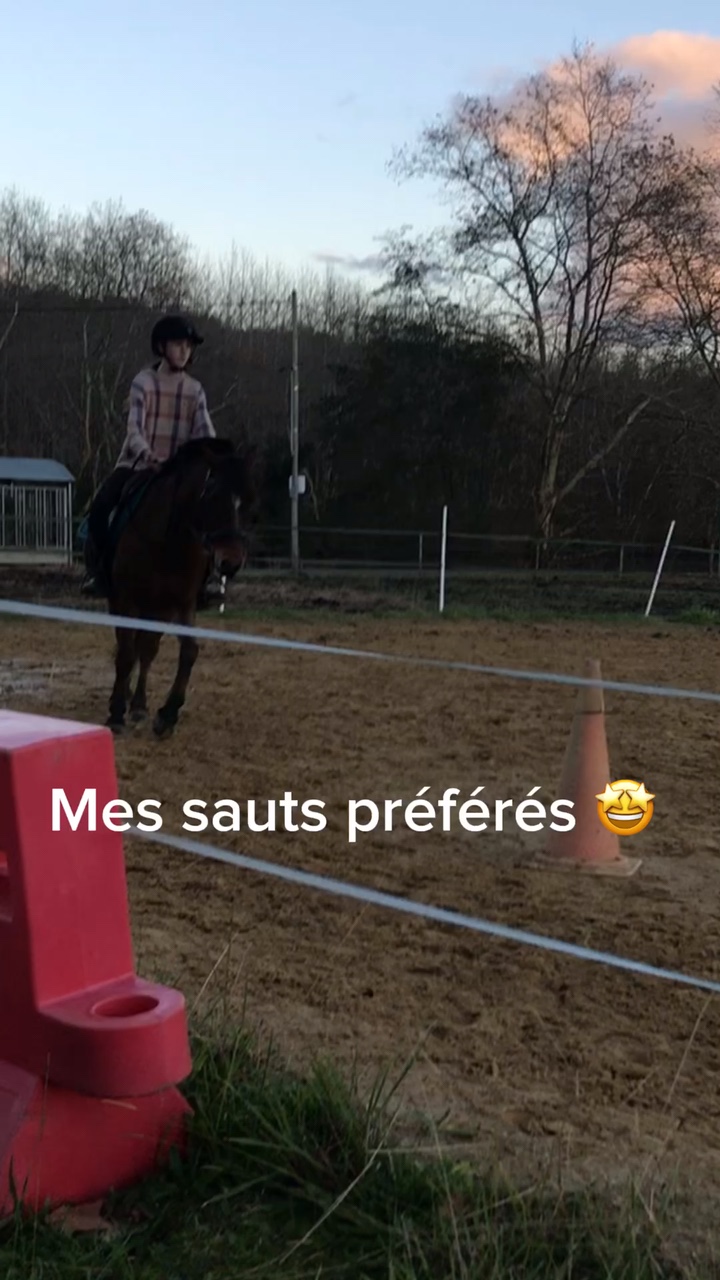 Il y’a pas tout 🤣