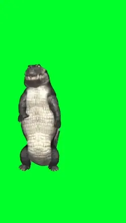 crocodile meme