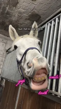 Gap tooth smile