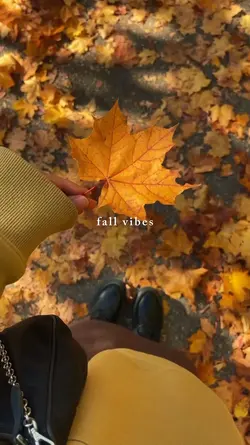 fall vibes