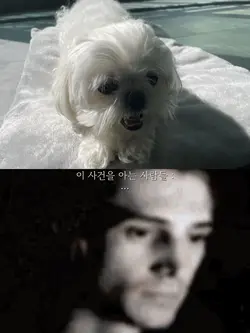 유튜브에서 한참 돌아다니던 그거