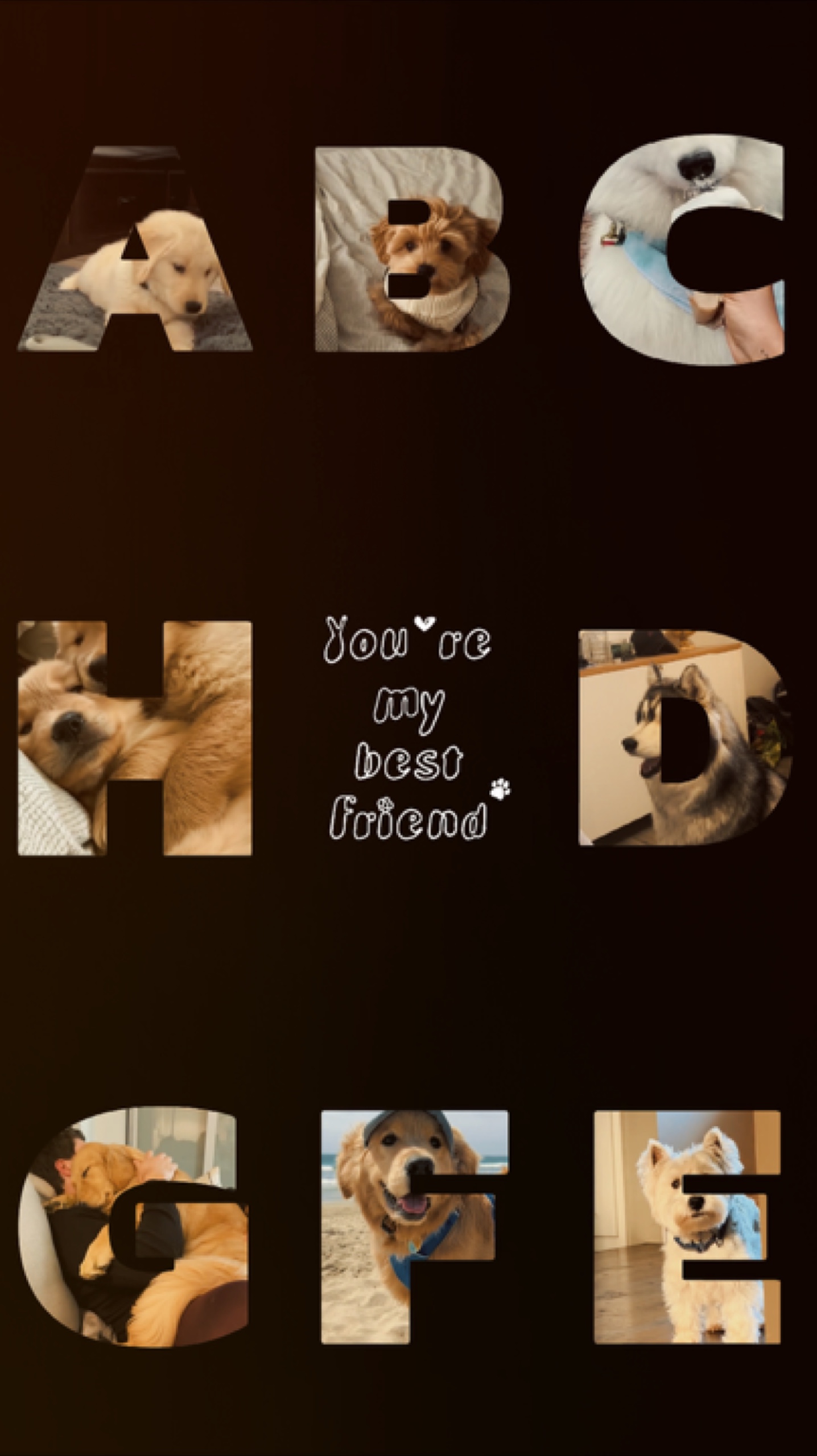 Love my dog