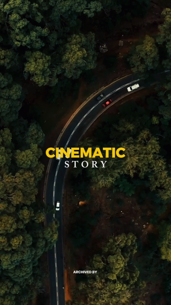 histoire cinématographique