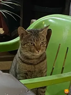 8+9槟榔 闽南语 remix一图