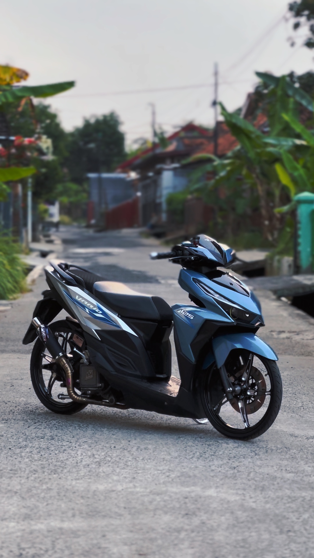 Cover Picture