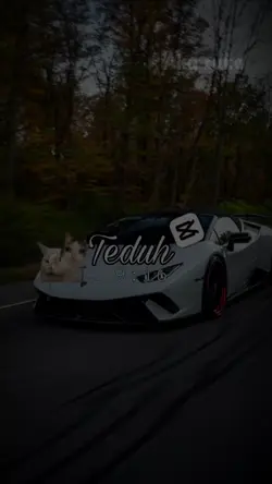 Ak Suka Tempe Goreng