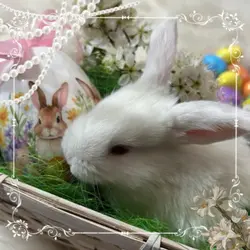 happy easter!!