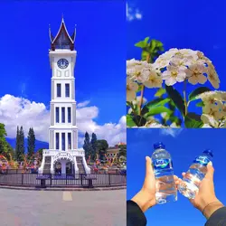 3foto+filter Jernih 
