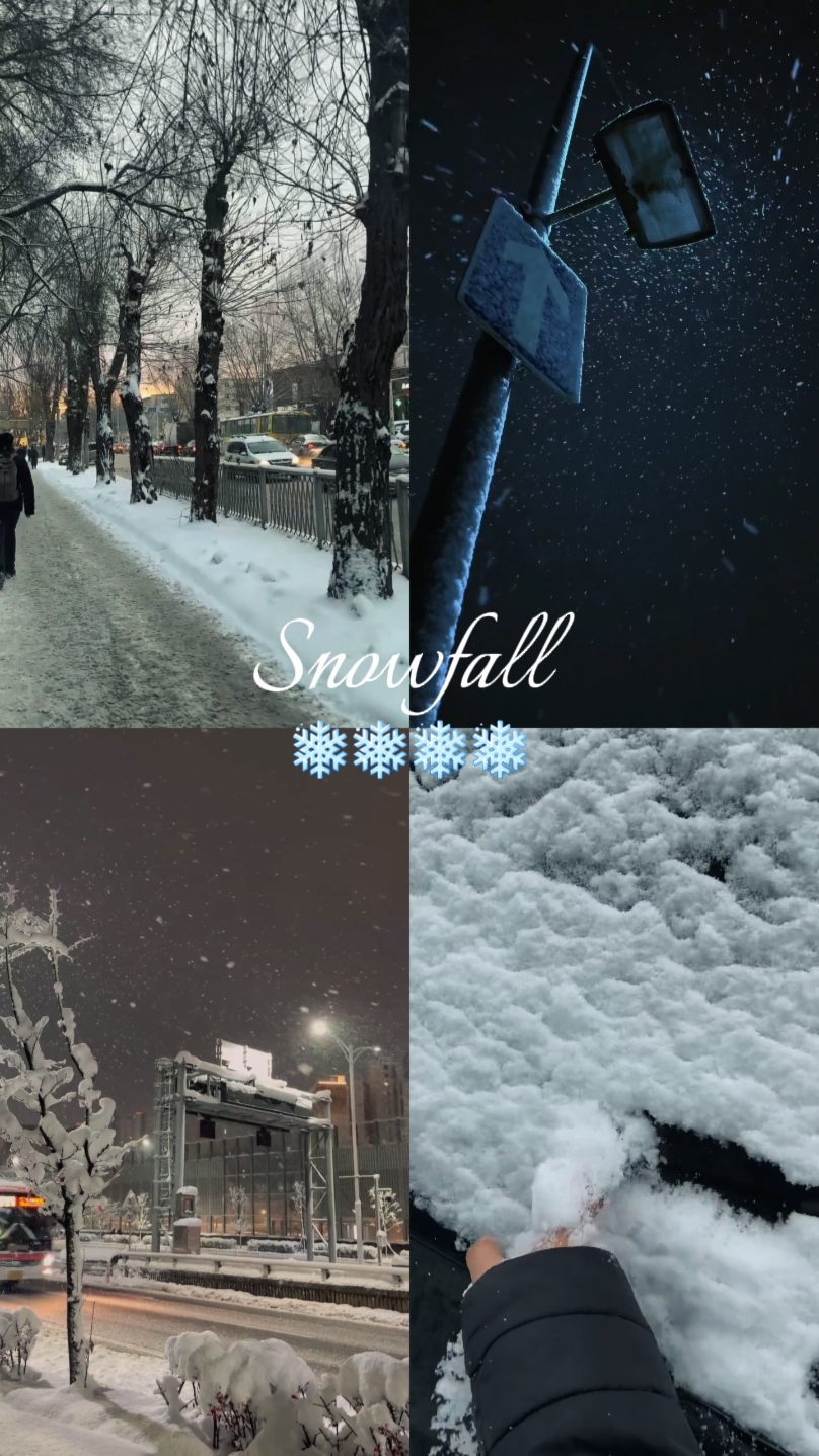 Schneefall 