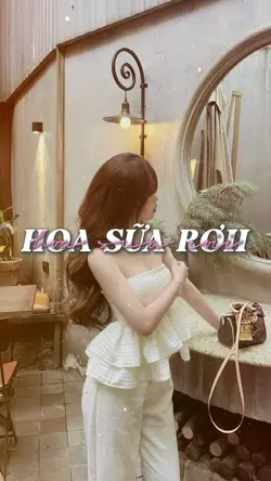 hoa sữa rơi