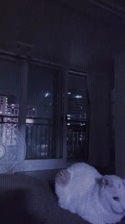 簡単に出来るエモい雰囲気｜📷８枚