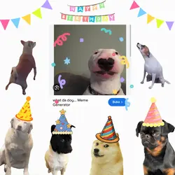  HBD