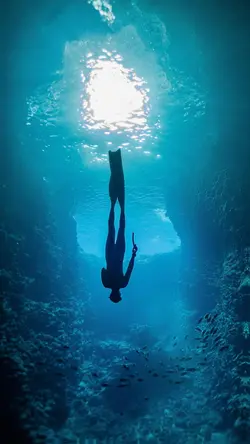 Freedive